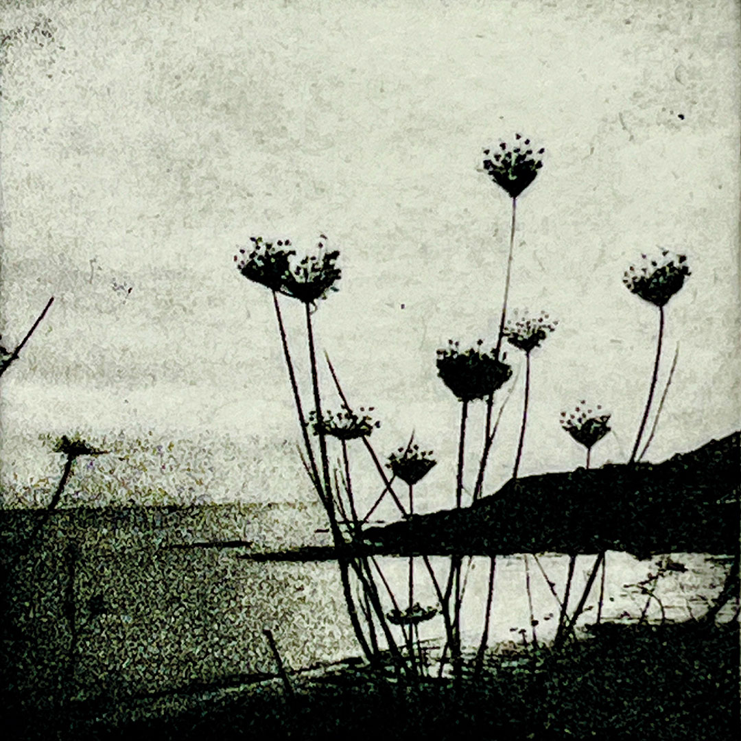 mhap_save_the_date_individual_200926_440